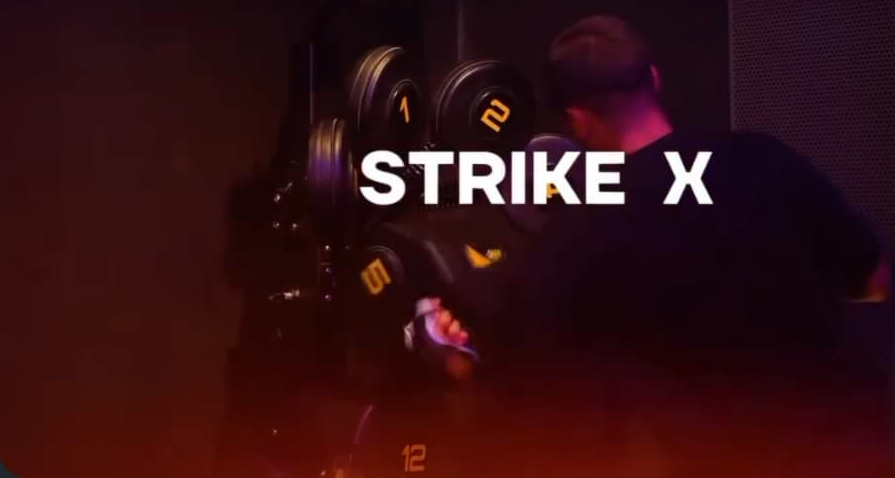STRIKER ONE